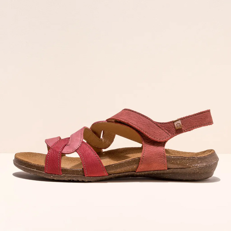 El Naturalista Wakataua N5079S